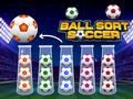 Spel Bolls sortering Fotboll på nätet