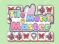 Spel Platt Match Mäster på nätet