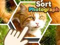 Spel Sortera fotografier på nätet