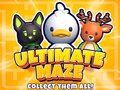 Spel Ultimate Labyrint! Samla dem alla! på nätet