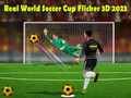 Spel Verkliga Världsmästerskapet i Fotboll Flicker 3D 2023 på nätet