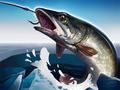 Spel Isfiske 3D pÄ nÀtet Spel Isfiske 3D pÄ nÀtet
