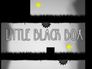 Spel Liten svart box på nätet