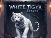 Spel Vita Tiger Rymning på nätet