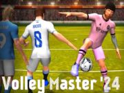 Spel Volleymästare '24 på nätet