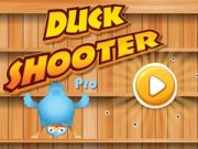 Spel Anka Skjutare Pro på nätet