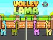 Spel Volley Lama på nätet