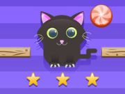 Spel Katt Utmaning på nätet