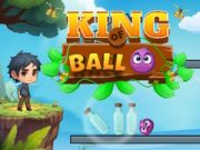 Spel Bollens Konung på nätet