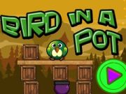 Spel Fågel i en kruka på nätet
