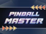 Spel Pinballmästare på nätet