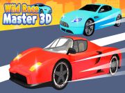 Spel Wild Race Master 3D på nätet