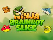 Spel Ninja hjärnskiva på nätet
