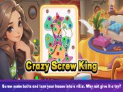 Spel Crazy Screw King på nätet