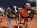 Spel Greyhound-lopp på nätet