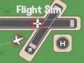 Spel Flygsimulator på nätet