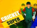 Spel Super Cricket på nätet