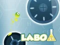 Spel Labo 51 pÄ nÀtet Spel Labo 51 pÄ nÀtet