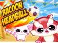 Spel Tvättbjörnshuvudboll på nätet