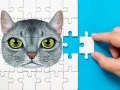 Spel Abessinisk Pussel Utmaning pÄ nÀtet Spel Abessinisk Pussel Utmaning pÄ nÀtet