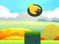 Spel Boll på nätet