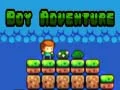 Spel Pojkens Äventyr på nätet Spel Pojkens Äventyr på nätet