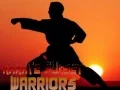 Spel Karate Solnedgång Krigare på nätet Spel Karate Solnedgång Krigare på nätet