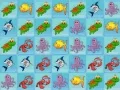 Spel Havvärldens Samling på nätet Spel Havvärldens Samling på nätet