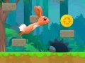 Spel Kanin Ben pÄ nÀtet Spel Kanin Ben pÄ nÀtet