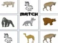 Spel Match på nätet