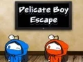 Spel Delikat Pojke Rymning pÄ nÀtet Spel Delikat Pojke Rymning pÄ nÀtet