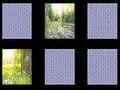 Spel Naturminne på nätet