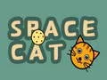 Spel Rymdkatt pÄ nÀtet Spel Rymdkatt pÄ nÀtet