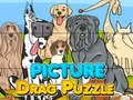 Spel Bild Dra På Puzzle på nätet