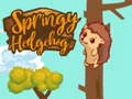 Spel Studsig Igelkott pÄ nÀtet Spel Studsig Igelkott pÄ nÀtet