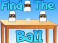 Spel Hitta bollen pÄ nÀtet Spel Hitta bollen pÄ nÀtet