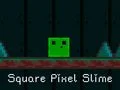 Spel Kvadratisk Pixel Snigel pÄ nÀtet Spel Kvadratisk Pixel Snigel pÄ nÀtet