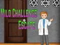 Spel Amgel Mild Challenge Escape på nätet
