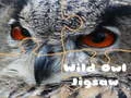Spel Vild Uggla Pussel pÄ nÀtet Spel Vild Uggla Pussel pÄ nÀtet