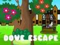 Spel Duvflykt pÄ nÀtet Spel Duvflykt pÄ nÀtet
