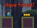 Spel Steves Skog pÄ nÀtet Spel Steves Skog pÄ nÀtet