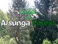 Spel Återvända till Alsunga-skogen på nätet Spel Återvända till Alsunga-skogen på nätet