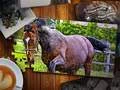 Spel Jigsaw Puzzle Hästar Utgåvan på nätet