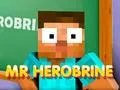 Spel Mr Herobrine pÄ nÀtet Spel Mr Herobrine pÄ nÀtet