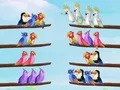 Spel Fågel Sortera Pussel på nätet Spel Fågel Sortera Pussel på nätet