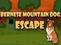 Spel Bernese Mountain Dog Rymning på nätet