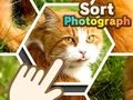 Spel Sortera fotografier pÄ nÀtet Spel Sortera fotografier pÄ nÀtet