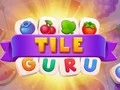 Spel Platt Guru på nätet