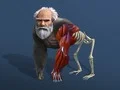 Spel Inaktiv Evolution: Från Cell till Människa på nätet Spel Inaktiv Evolution: Från Cell till Människa på nätet