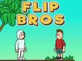 Spel Flip Bröder på nätet Spel Flip Bröder på nätet